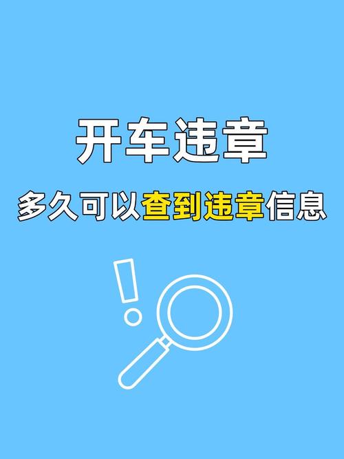 新能源车辆违章查询(新能源汽车违章在哪里查询)