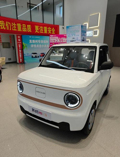吉利熊猫mini图片(吉利熊猫mt)