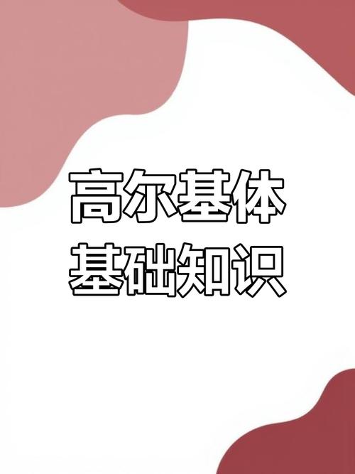 高尔基/高尔基体的功能