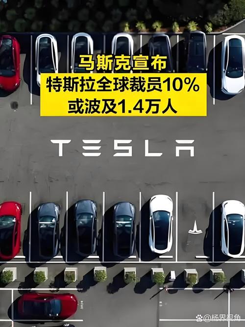 【零跑高管暗讽特斯拉寒心不值得买,零跑和特斯拉】