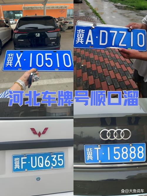 冀g是河北哪里的车牌,冀g是哪里的车牌照号码