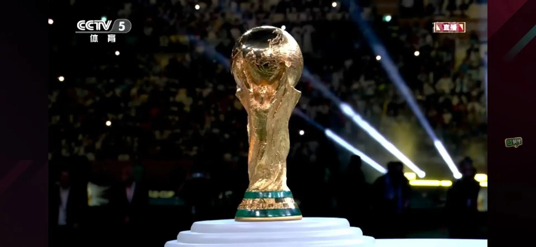 卡塔尔世界杯阿根廷夺冠(卡塔尔世界杯阿根廷夺冠解说视频)
