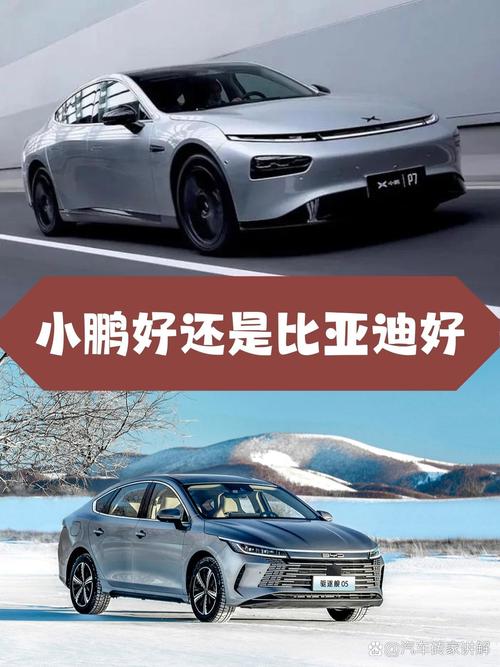 新能源汽车排名第一／小鹏好还是比亚迪好