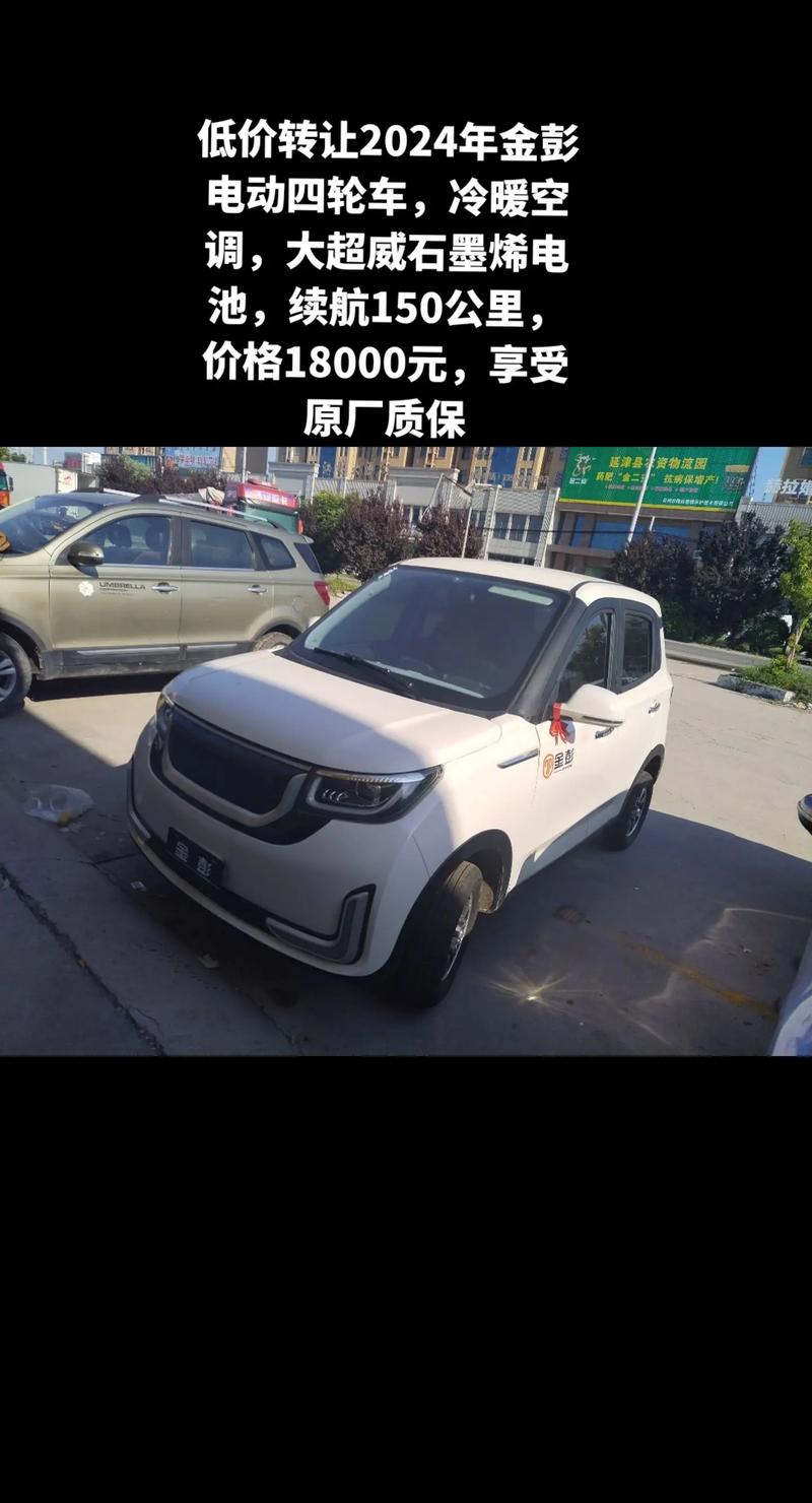 2024纯电动汽车价格,2024年纯电动汽车